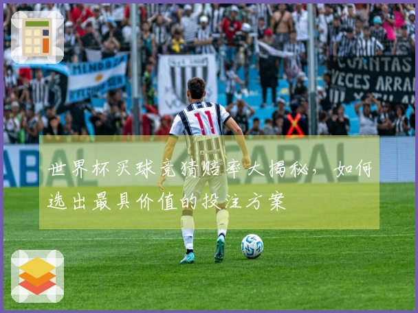 世界杯买球竞猜赔率大揭秘，如何选出最具价值的投注方案