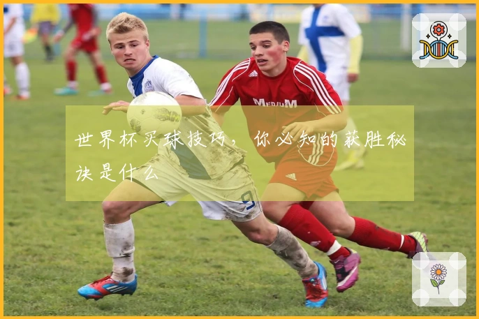 世界杯买球技巧，你必知的获胜秘诀是什么