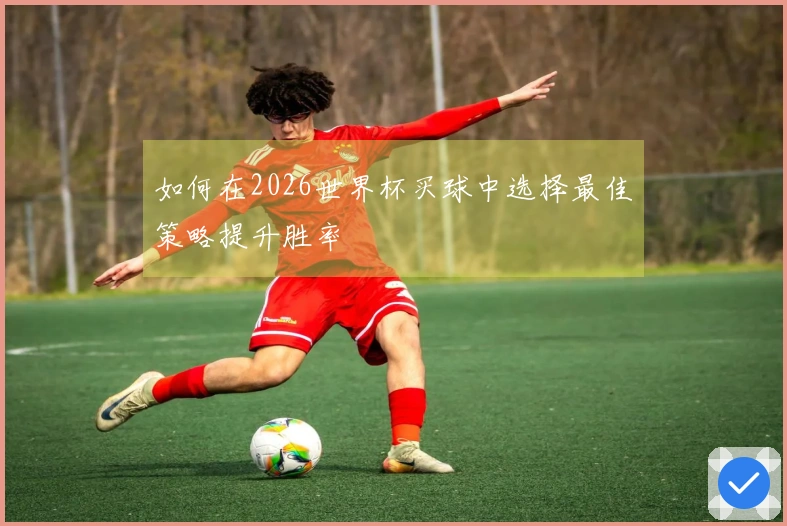 如何在2026世界杯买球中选择最佳策略提升胜率