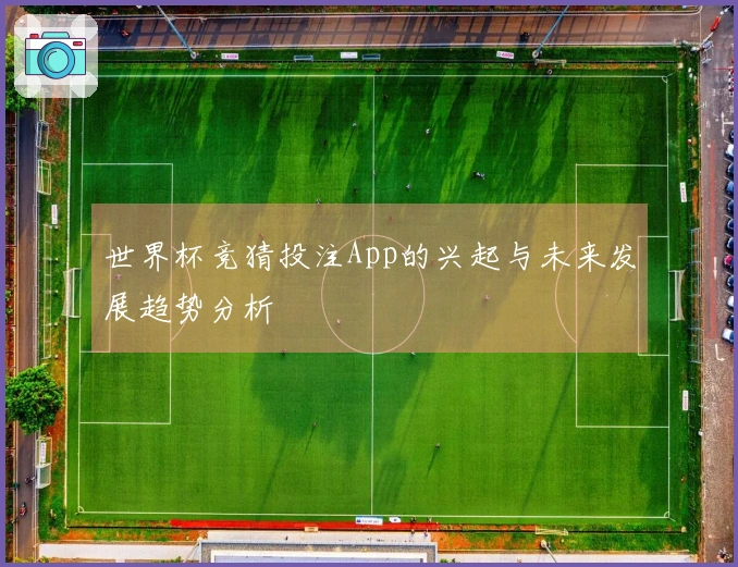 世界杯竞猜投注App的兴起与未来发展趋势分析