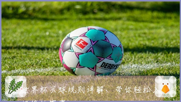 世界杯买球规则详解，带你轻松入门投注赛事