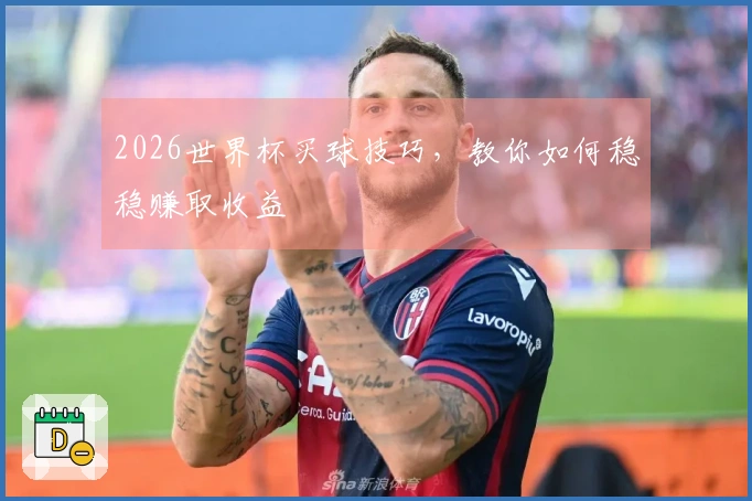 2026世界杯买球技巧，教你如何稳稳赚取收益