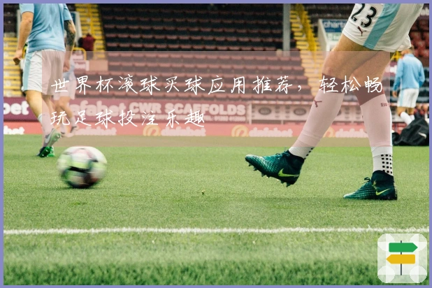 世界杯滚球买球应用推荐，轻松畅玩足球投注乐趣