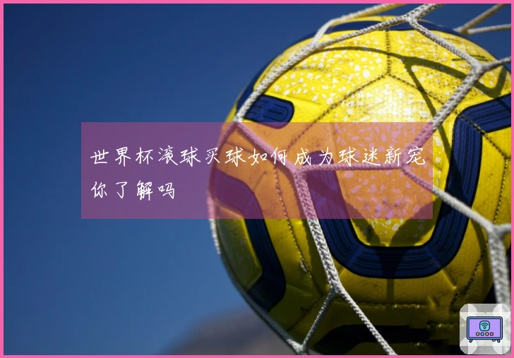 世界杯滚球买球如何成为球迷新宠你了解吗