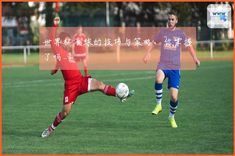 世界杯滚球的技巧与策略，你掌握了吗_1