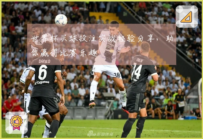 世界杯买球投注实战经验分享，助你赢得比赛乐趣