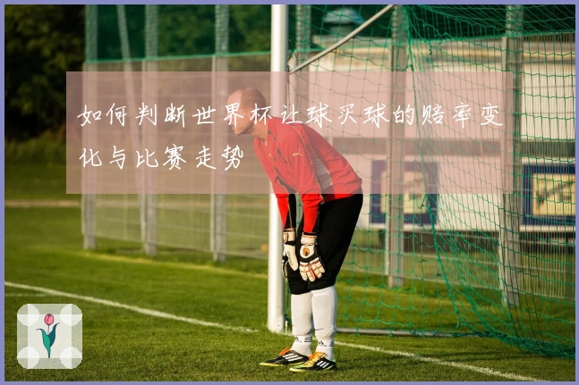 如何判断世界杯让球买球的赔率变化与比赛走势