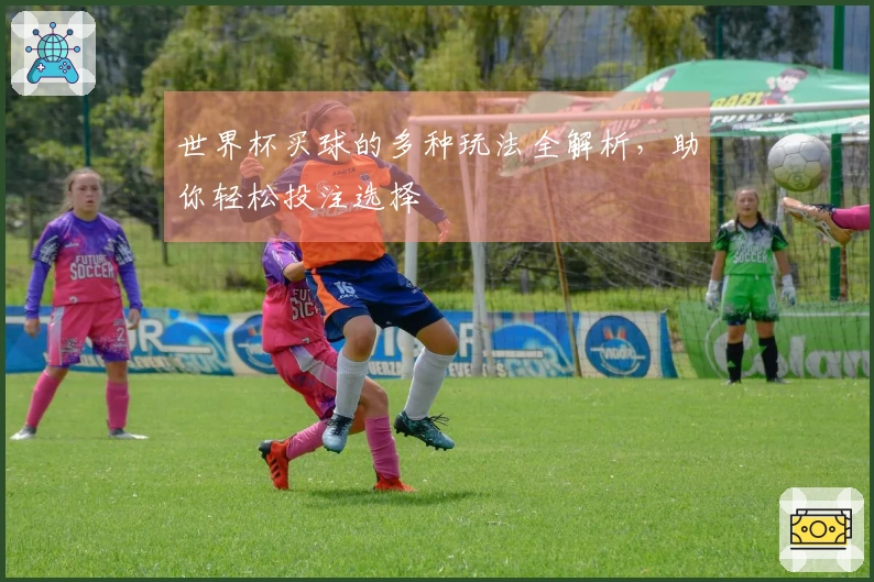 世界杯买球的多种玩法全解析，助你轻松投注选择