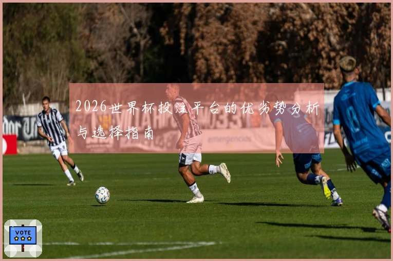 2026世界杯投注平台的优劣势分析与选择指南